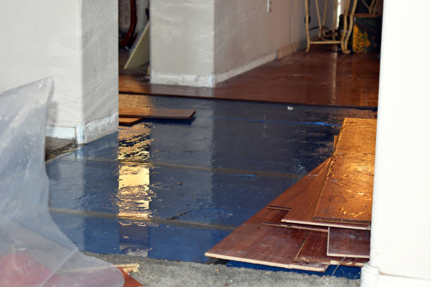 Professional Burst Pipe Cleanup technician working in Hamden, OH